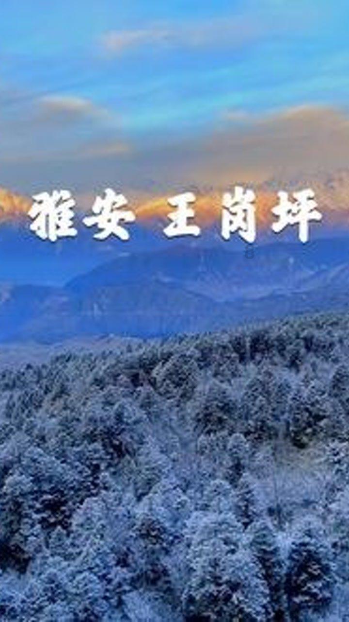 傅平山：老山轮战中牺牲最高级别的侦察兵，遗体被敌人浇入水泥中